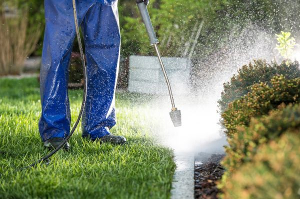 Curb Cleaning in Hixson