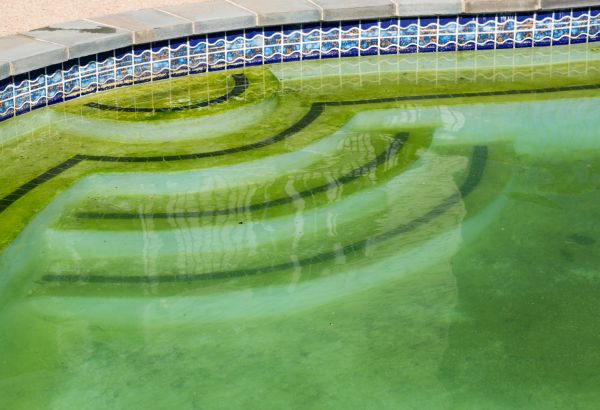 Pool Deck Algae Removal in Hixson