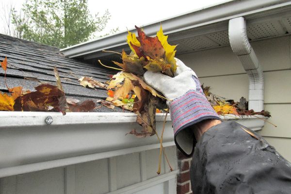 Eaves Cleaning in Hixson