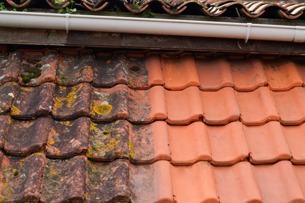 Industrial Roof Cleaning in Hixson